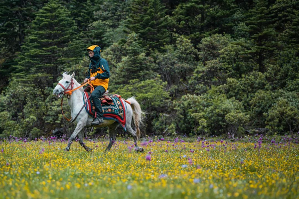 樂亦思托福首位滿分學員現身，他的成功秘訣究竟是什么?
